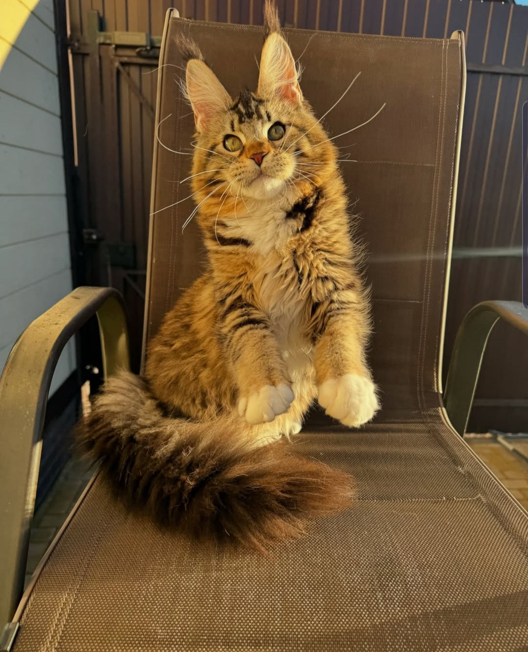 Max